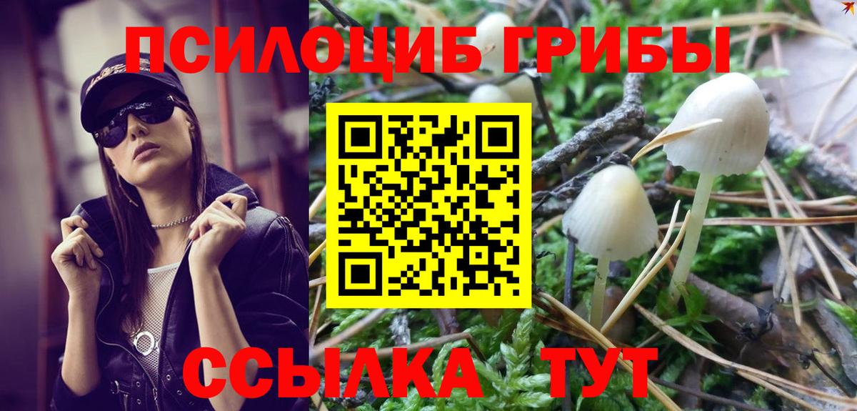 Псилоцибиновые грибы прущие грибы Омск